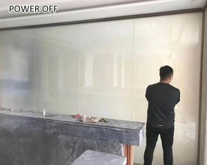 electric switchable transparent glass