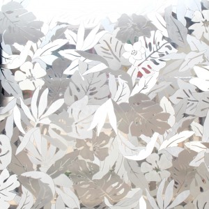 electrostatic adsorption glass film frosted