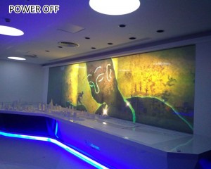 rear projection function smart display film