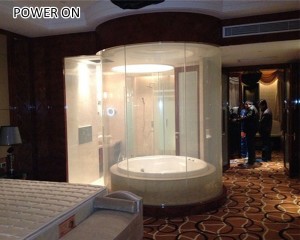 wholesale high quality privacy glass