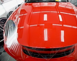 bulk roll clear paint protection film